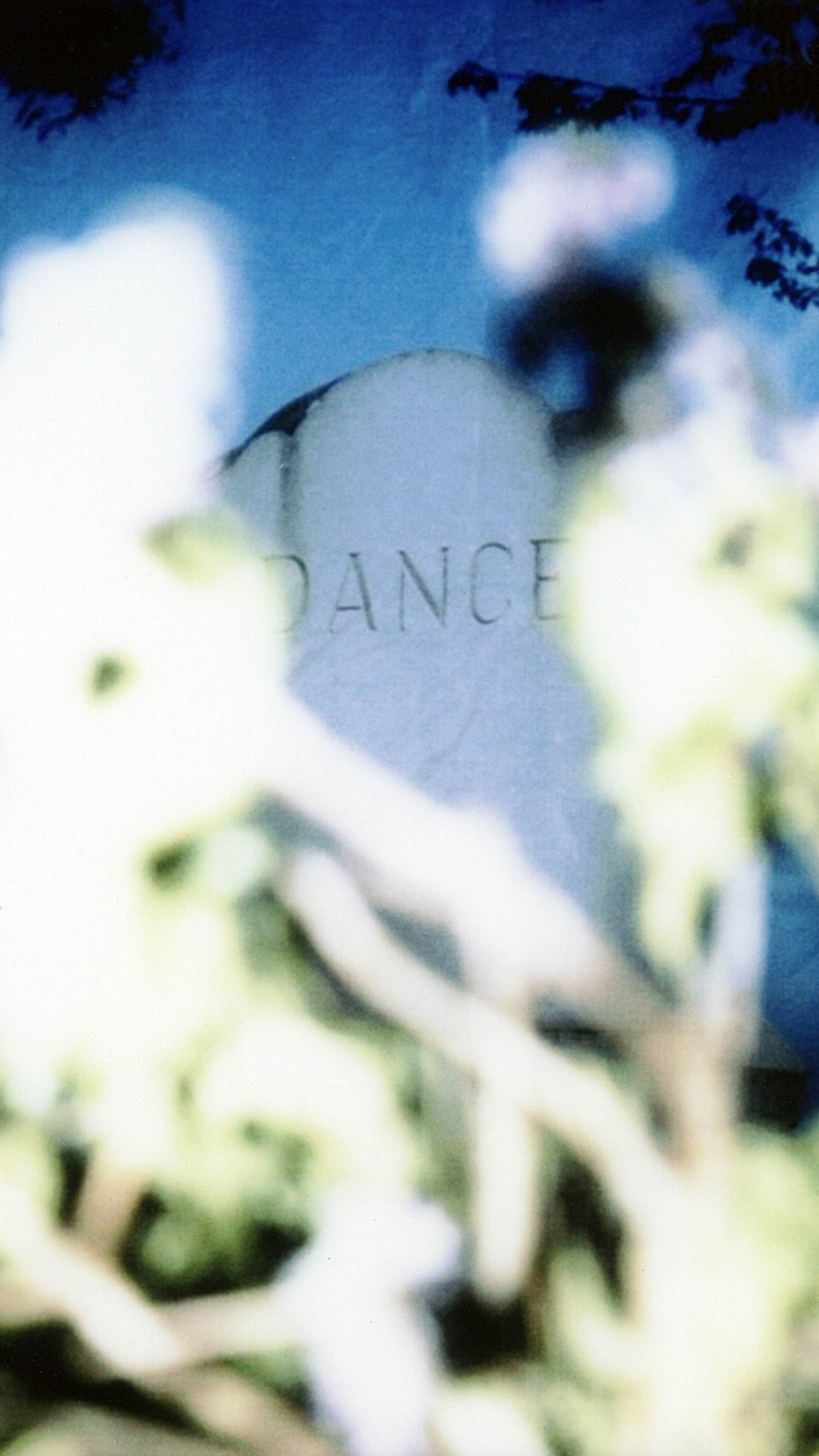 A grainy closeup of foliage and a tombstone that reads "DANCE."